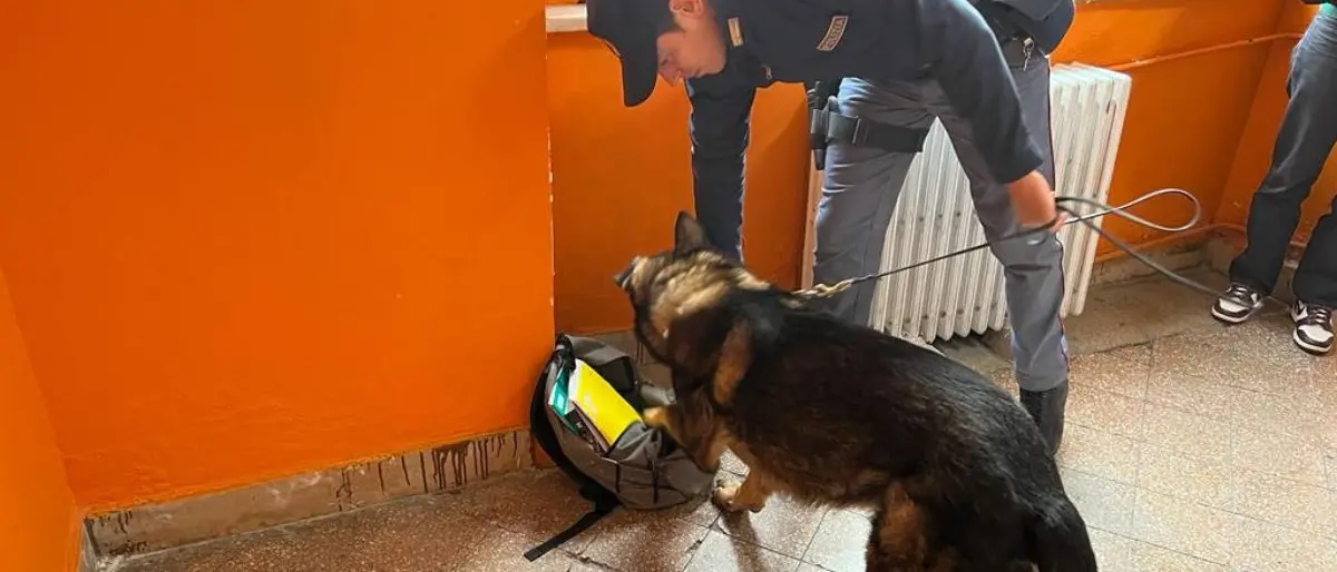 Cosenza, cani antidroga nelle scuole e controlli nelle piazze di spaccio