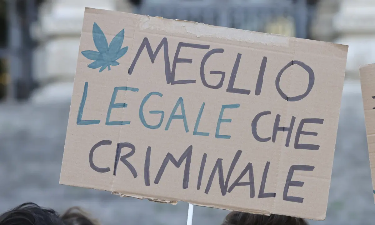 La preside autorizza un'assemblea sulla cannabis e arriva la polizia. Solidarietà dal Pd di Cosenza