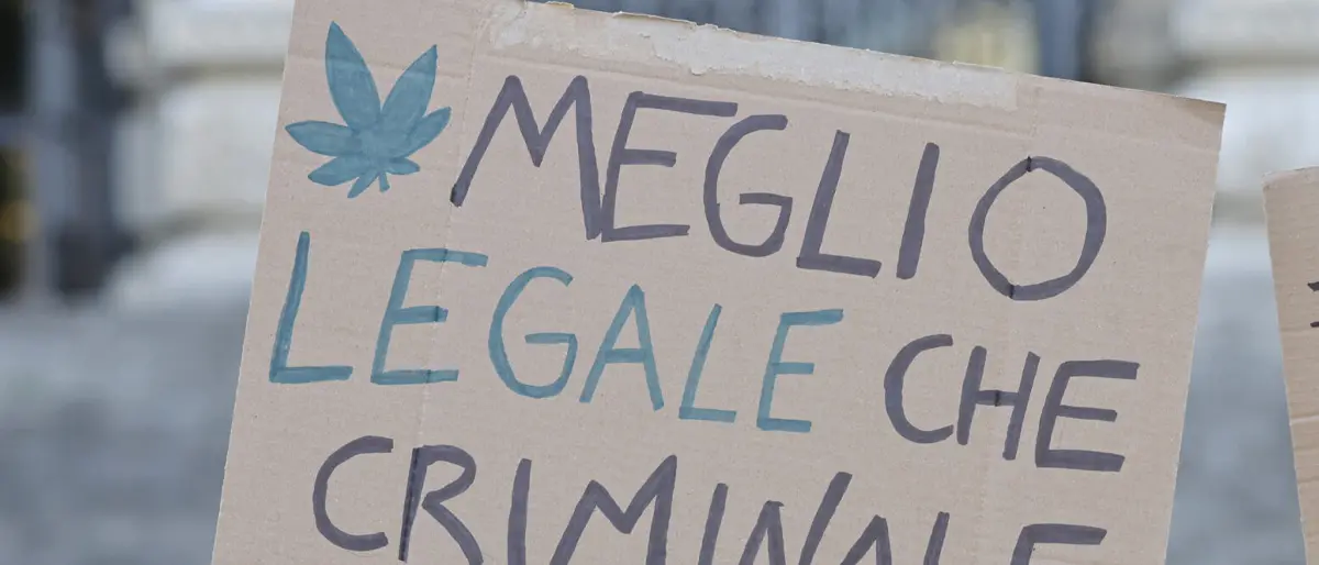 La preside autorizza un'assemblea sulla cannabis e arriva la polizia. Solidarietà dal Pd di Cosenza