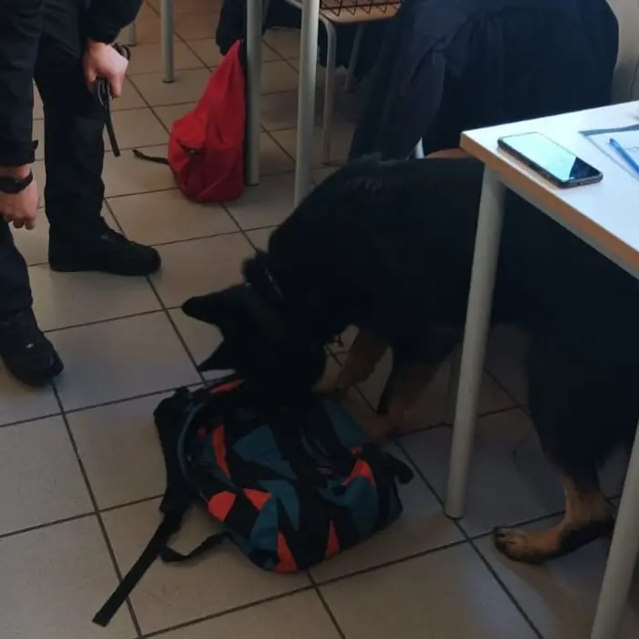 Droga a scuola, controlli serrati dei carabinieri di Rogliano