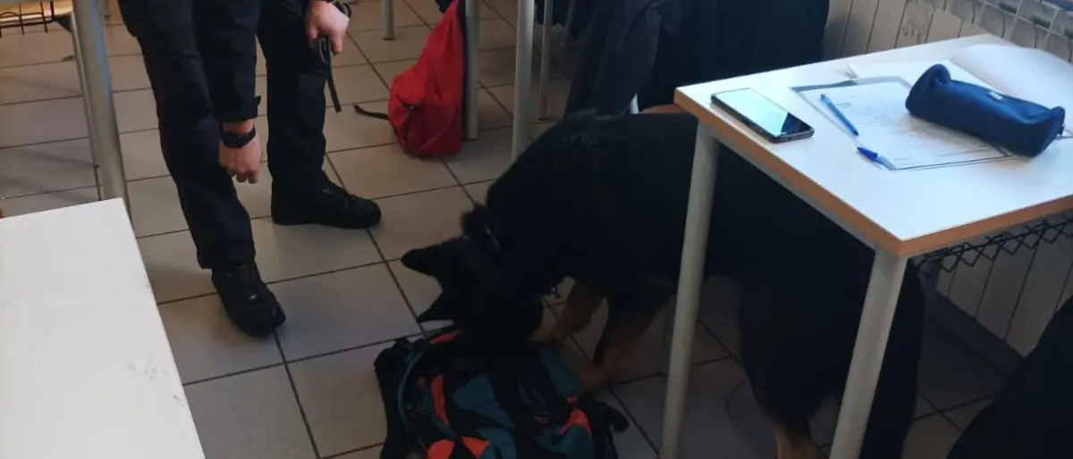 Droga a scuola, controlli serrati dei carabinieri di Rogliano
