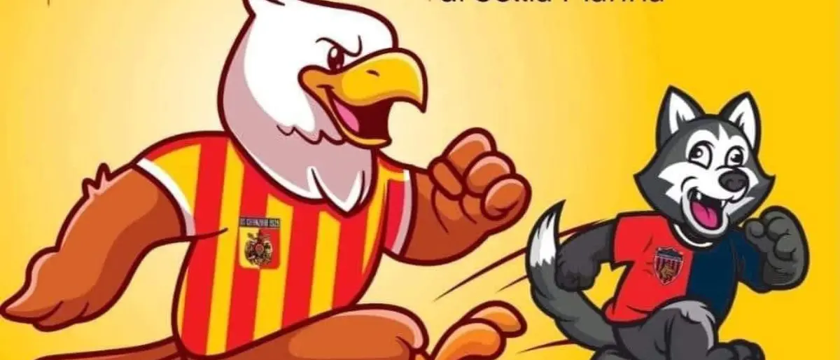 «101 motivi per odiare il CoSenz'A e tifare Catanzaro», in un libro la rivalità calcistica tra le due tifoserie