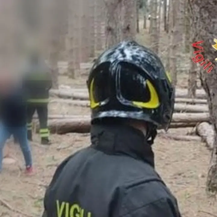 Tragedia a Luzzi, operaio travolto e schiacciato dal fusto di un albero: aveva 33 anni