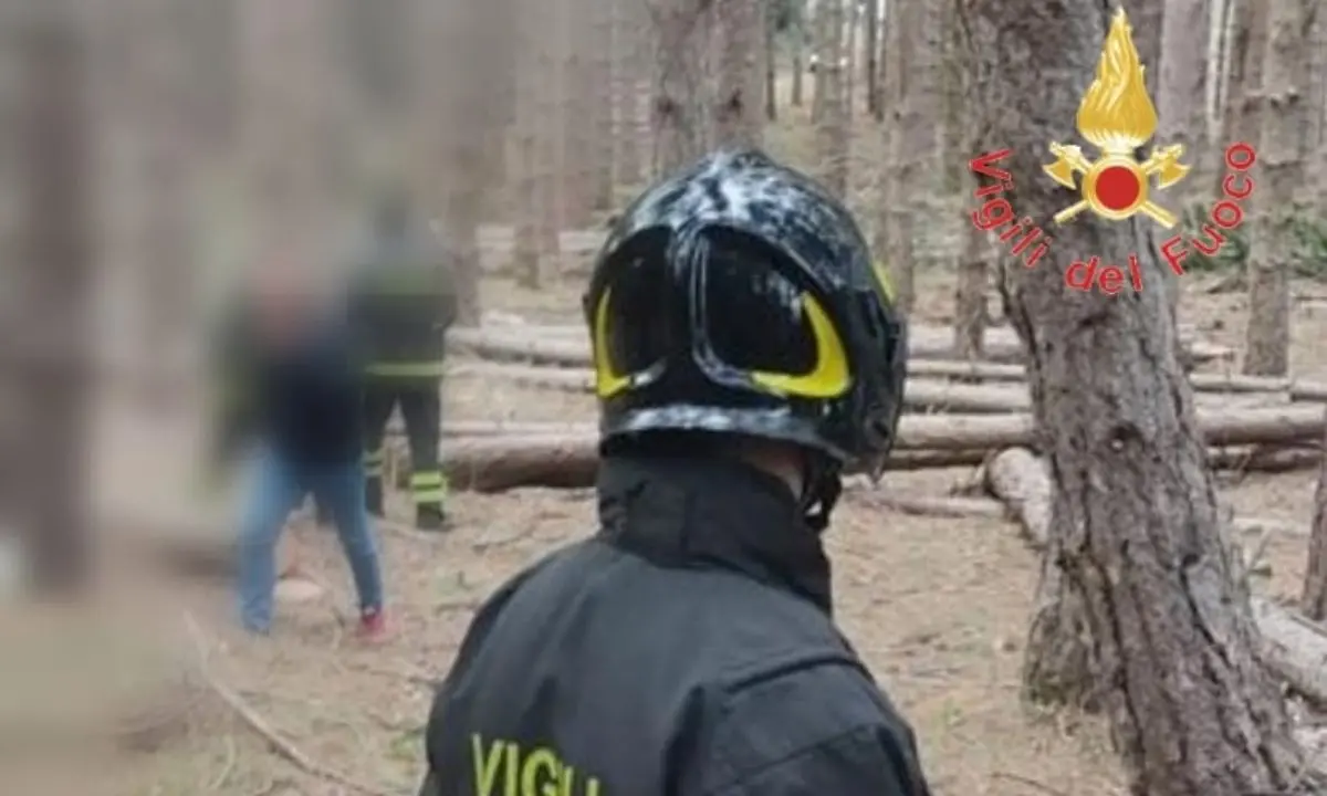 Tragedia a Luzzi, operaio travolto e schiacciato dal fusto di un albero: aveva 33 anni