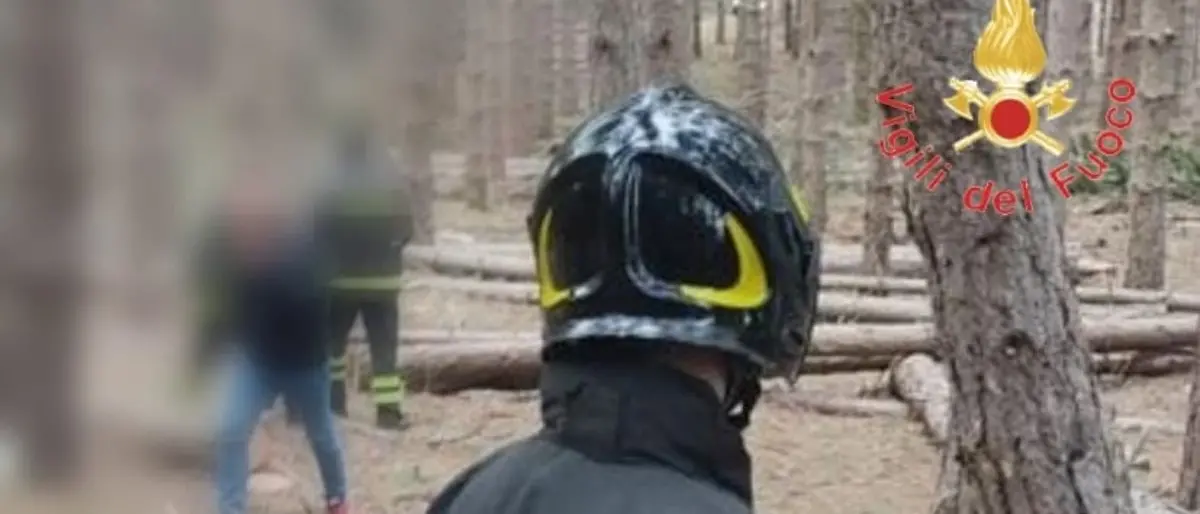 Tragedia a Luzzi, operaio travolto e schiacciato dal fusto di un albero: aveva 33 anni