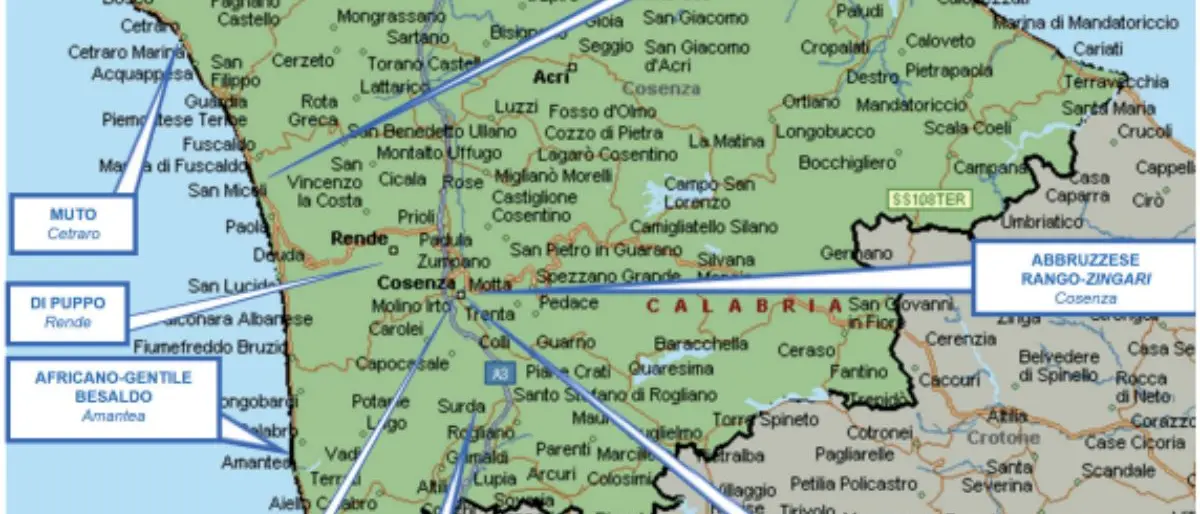 Cosenza, la faida tra i clan evitata dagli arresti di \"Nuova Famiglia\"