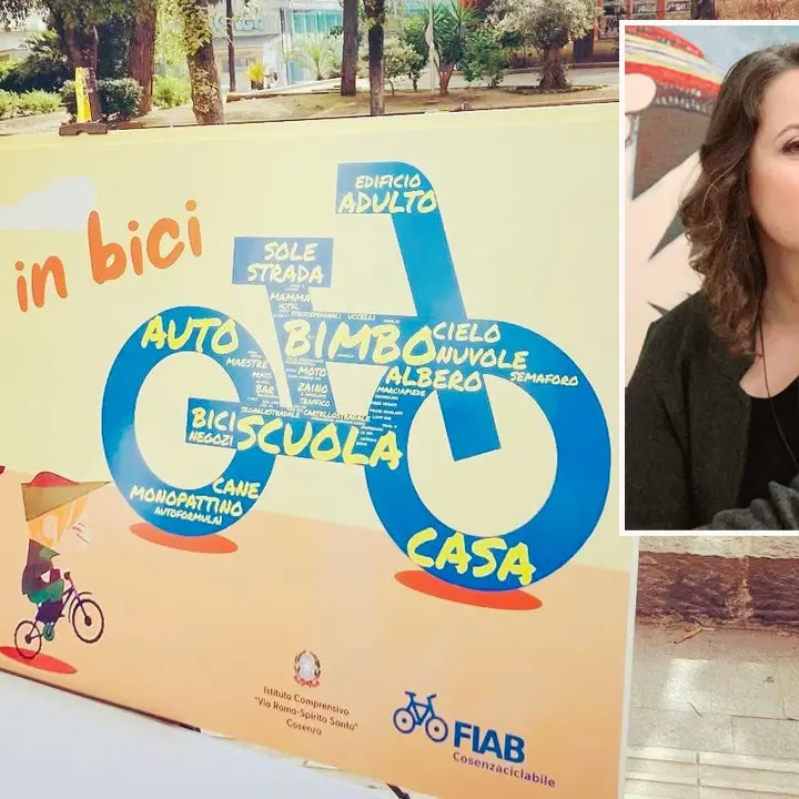 Progetto Piedibus, Bresciani: «A Cosenza c'è dall'era Perugini, con Occhiuto fu ridicolizzato»