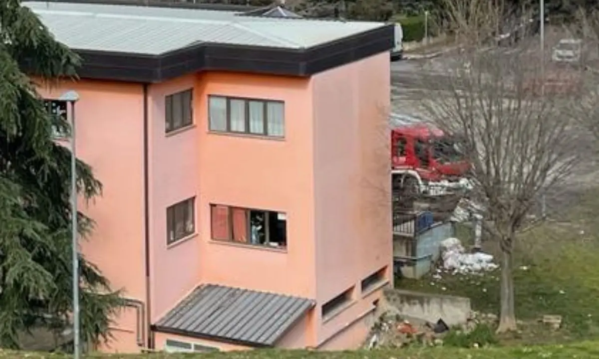 Cosenza, blitz anti-processionaria nella scuola in viale Cosmai