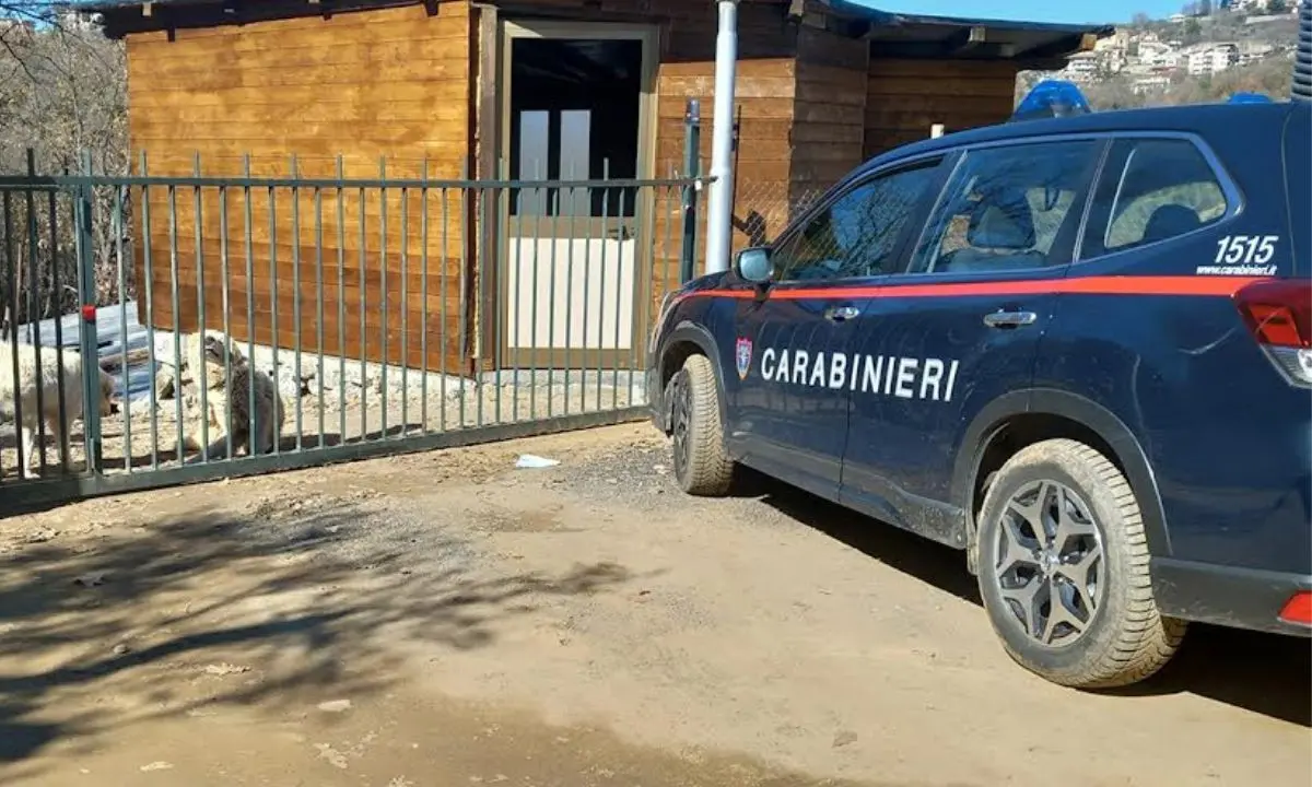 Casali del Manco, una denuncia per abusivismo edilizio