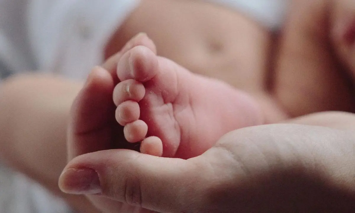 Assegno di maternità, ecco il nuovo importo per il 2023: tutti i dettagli