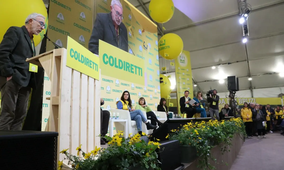 Villaggio Coldiretti: «Esportazioni di olio d’oliva triplicate negli ultimi 30 anni»