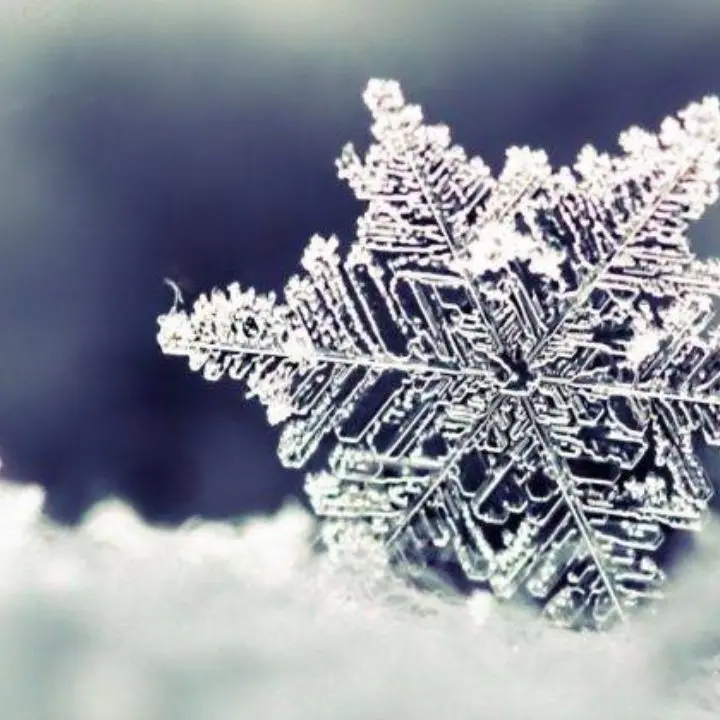 È primavera ma non in Sila e sul Pollino: nella notte -6 gradi