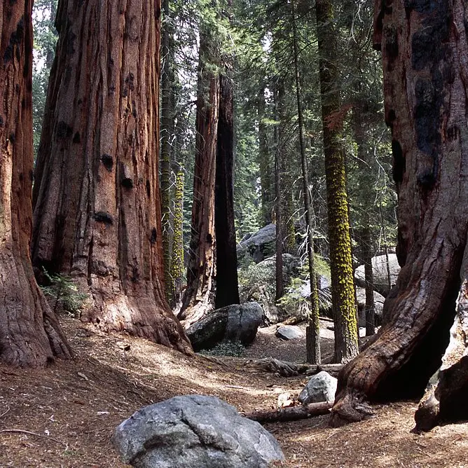 Giornate FAI di Primavera, porte aperte anche nel Cosentino: dalla Sila alle eccellenze industriali\n