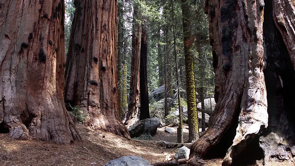 La nostra guida per il Luned\\u00EC dell\\'Angelo da passare tra le nostre montagne che la neve ha baciato con l\\'ultima spolverata