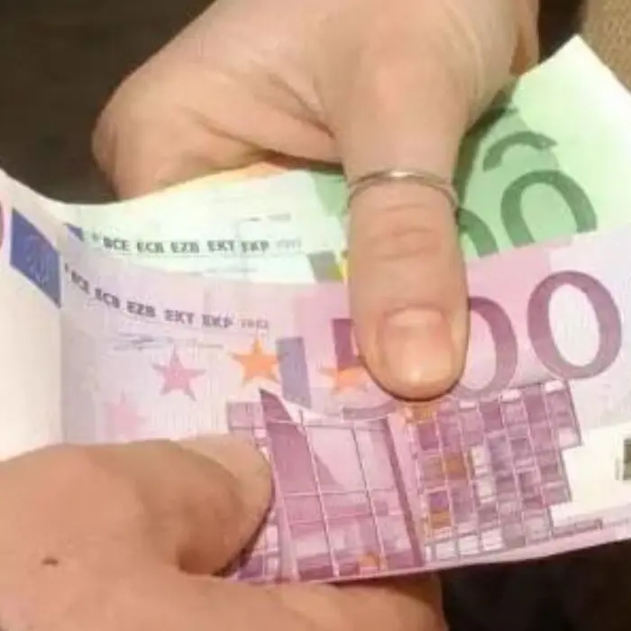 «Porcaro condivideva i proventi delle estorsioni con gli \"zingari\" di Cosenza»