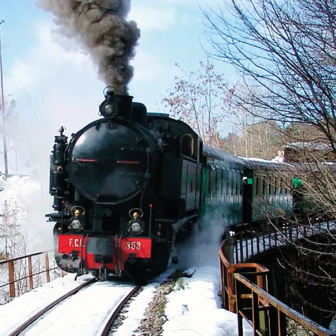 I fondi destinati al Treno della Sila dirottati a Gambarie, insorge Palazzo dei Bruzi