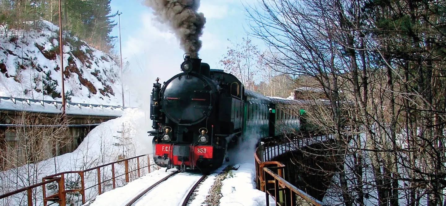 I fondi destinati al Treno della Sila dirottati a Gambarie, insorge Palazzo dei Bruzi
