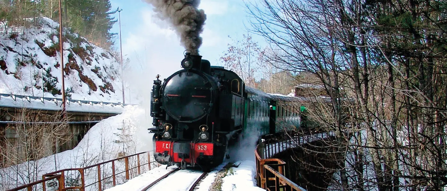 I fondi destinati al Treno della Sila dirottati a Gambarie, insorge Palazzo dei Bruzi
