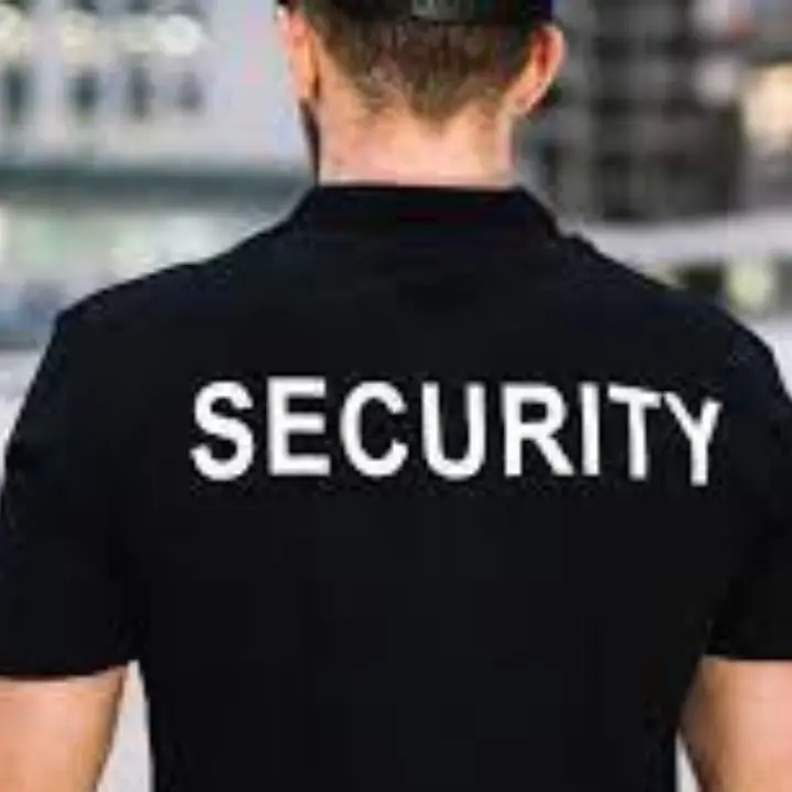 Turboli: «La società di security è riconducibile a Roberto Porcaro»