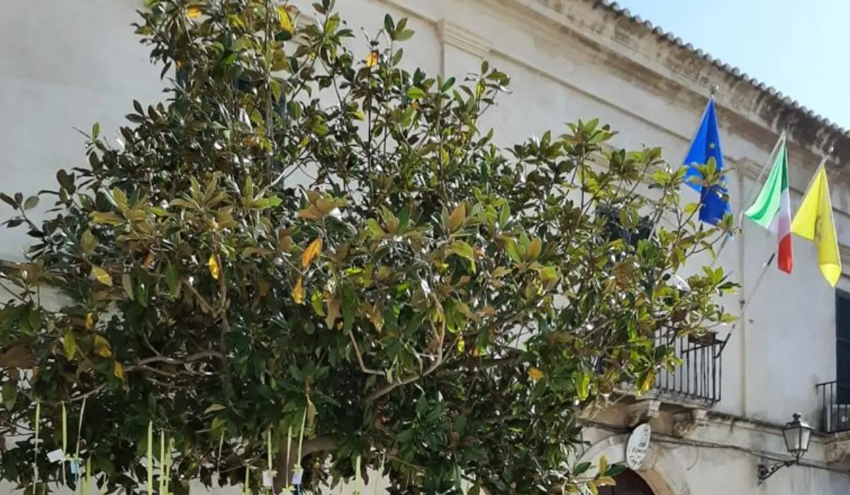 Cariati, ai nuovi nati le chiavi della città: domani l'evento