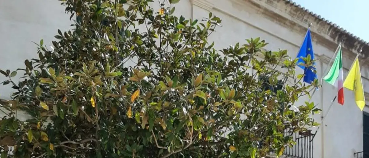 Cariati, ai nuovi nati le chiavi della città: domani l'evento