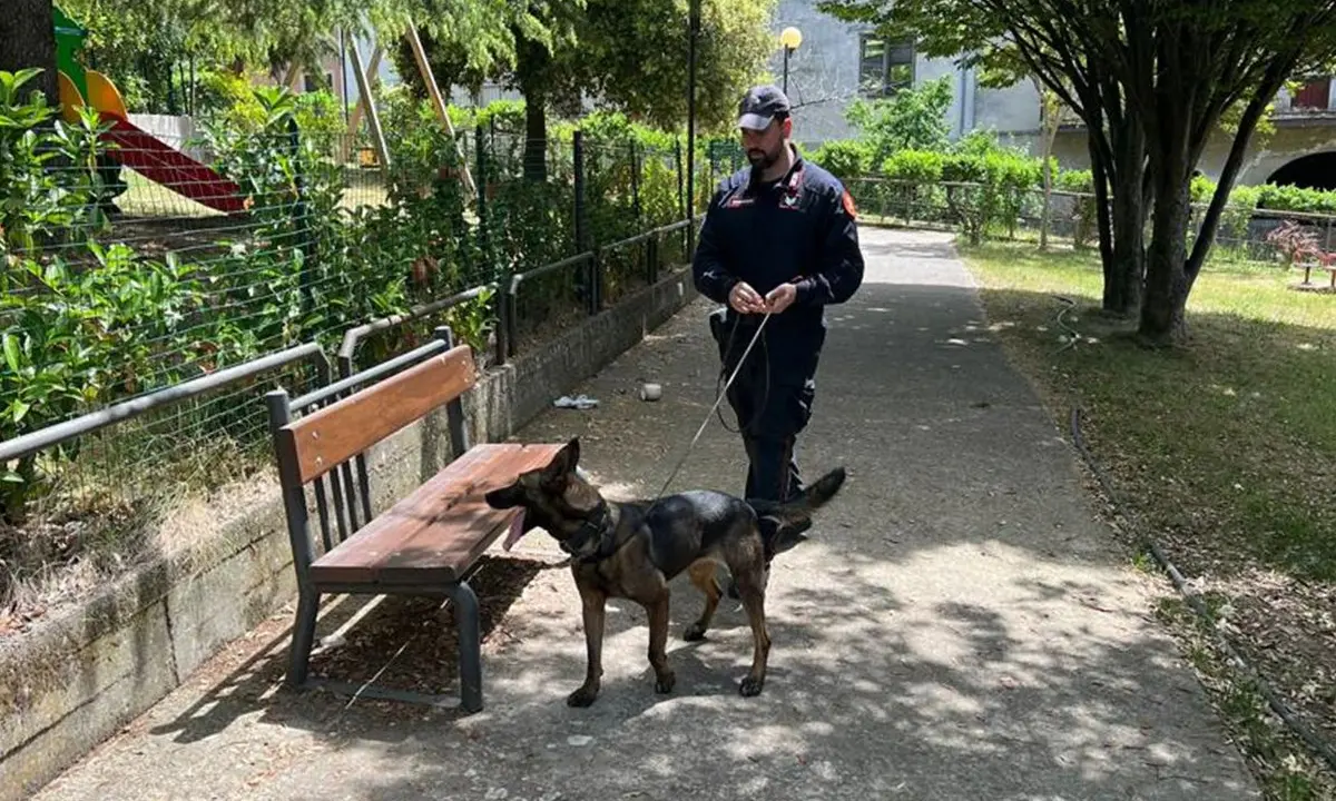 Acri, i Carabinieri beccano tre giovani con erba e fumo. Altre sei persone segnalate alla Prefettura