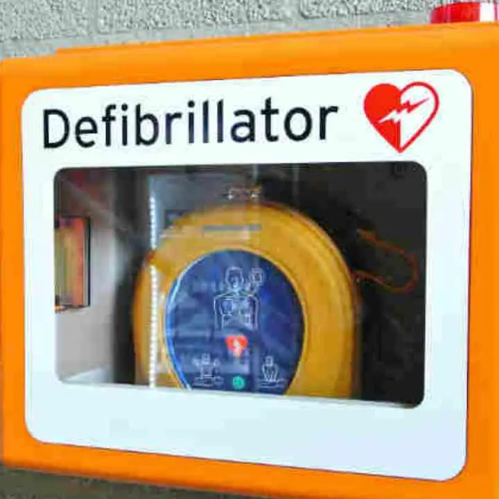 Il Lions Club Reggio Calabria Host dona due defibrillatori a Roccaforte del Greco e Roghudi\n