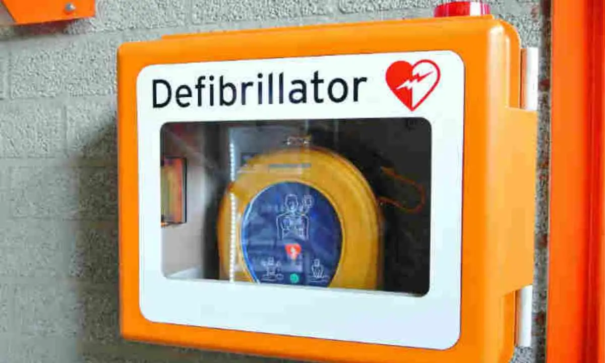 Il Lions Club Reggio Calabria Host dona due defibrillatori a Roccaforte del Greco e Roghudi\n