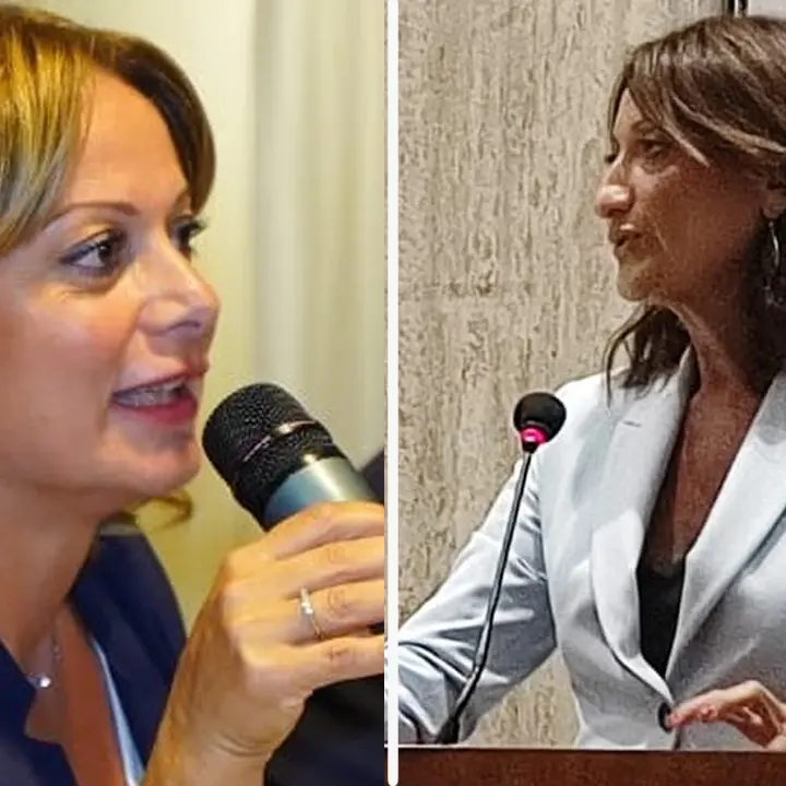 Italia Viva insoddisfatta: «Le Zes in Calabria verso il fallimento»
