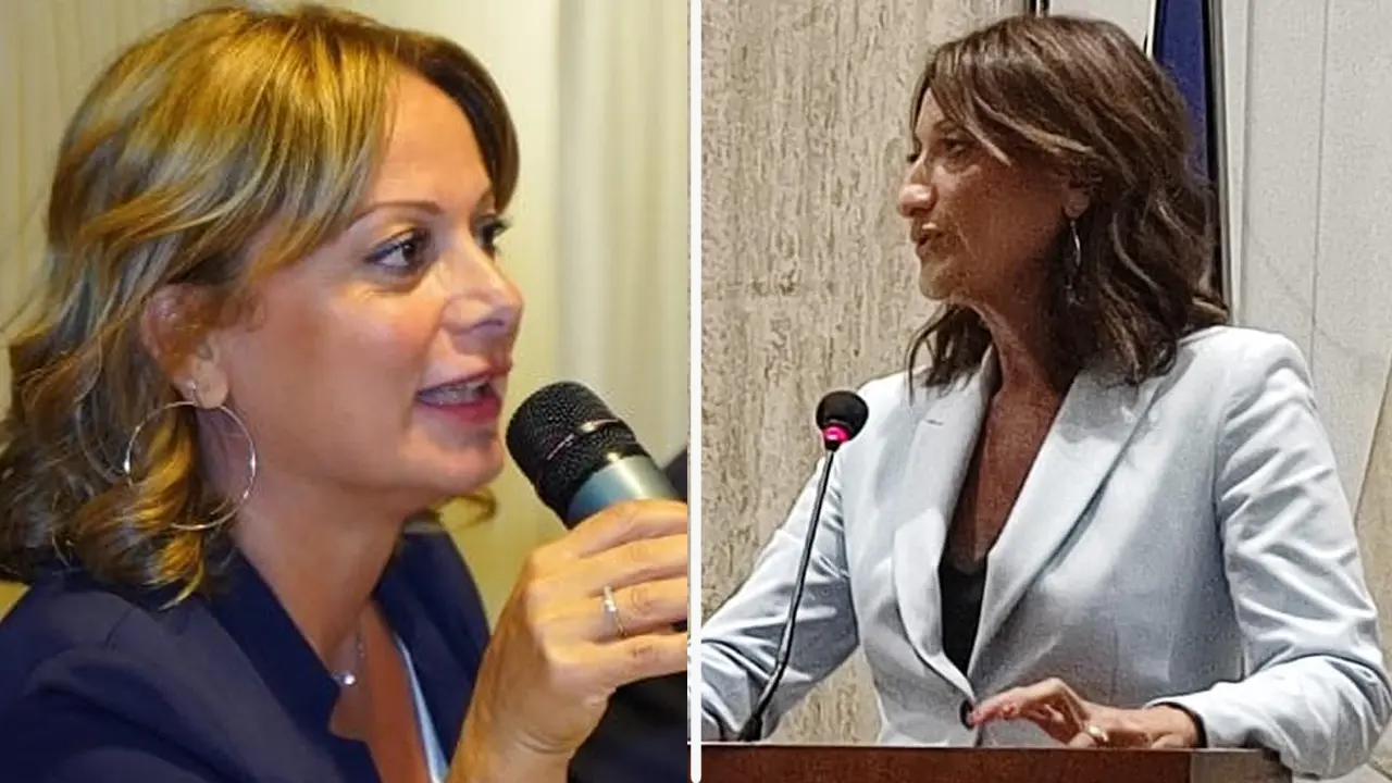 Italia Viva insoddisfatta: «Le Zes in Calabria verso il fallimento»