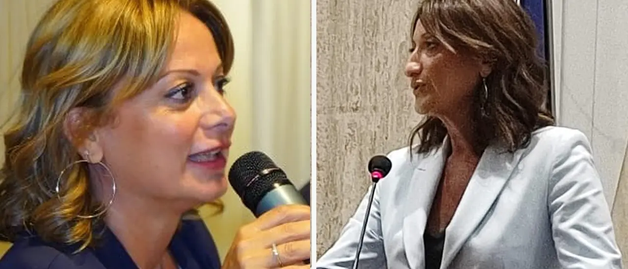 Italia Viva insoddisfatta: «Le Zes in Calabria verso il fallimento»