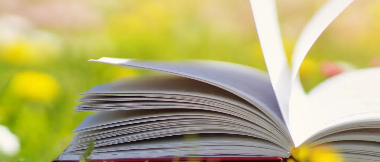 Premio Sila, Viola Ardone vince per la sezione Letteratura con \"Grande Meraviglia\"