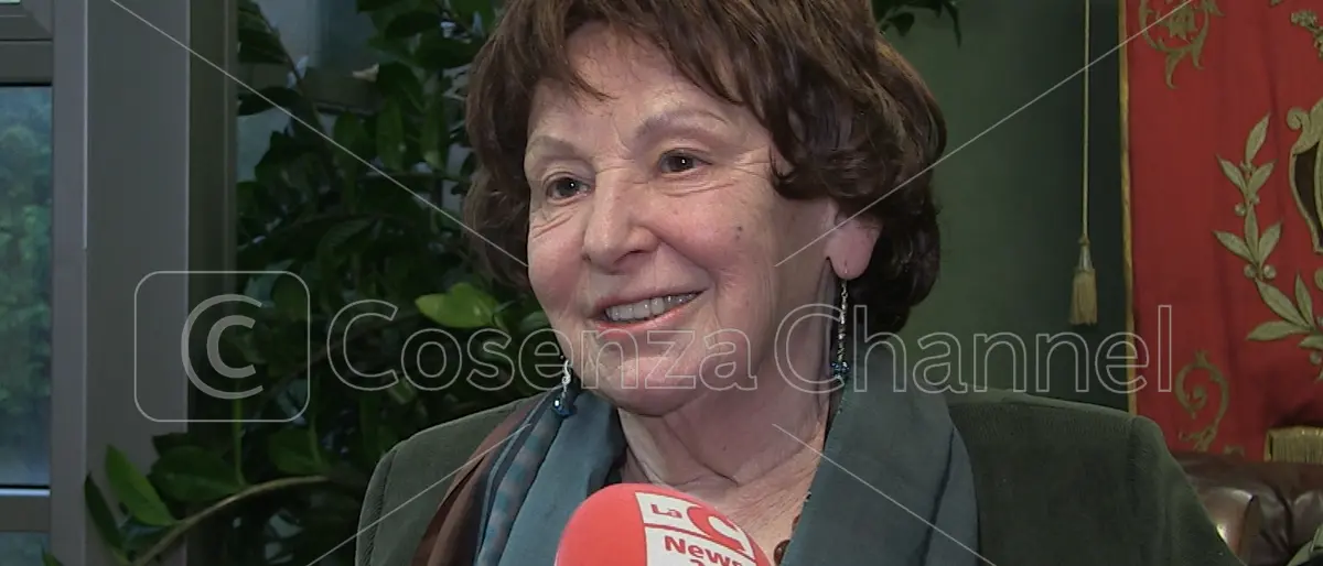 \"Bagarre dei pini\" a Rende, Petrusewicz contro chi strumentalizza: «Provano piacere per le disgrazie altrui»