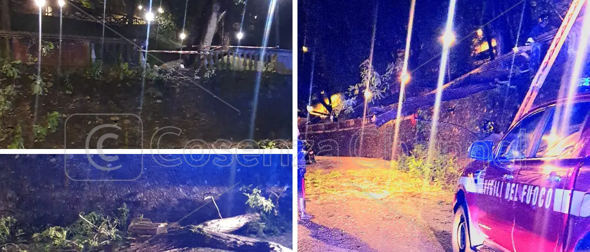Cosenza, il maltempo fa danni. Cede un albero della Villa finendo su alberi e auto