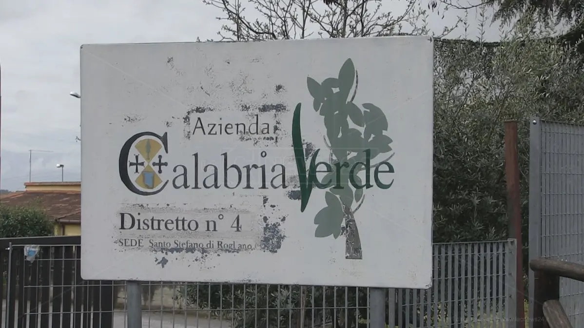 Calabria Verde, i sindacati: «Basta abusi sui lavoratori. Le promesse sono state disattese»