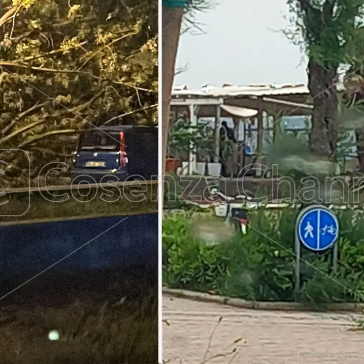 Praia, ancora disagi per il maltempo: crollano un altro albero e il muro di uno stabilimento balneare