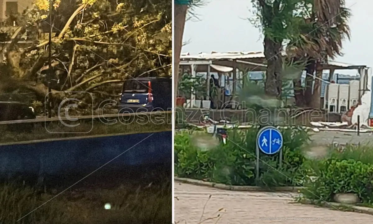 Praia, ancora disagi per il maltempo: crollano un altro albero e il muro di uno stabilimento balneare