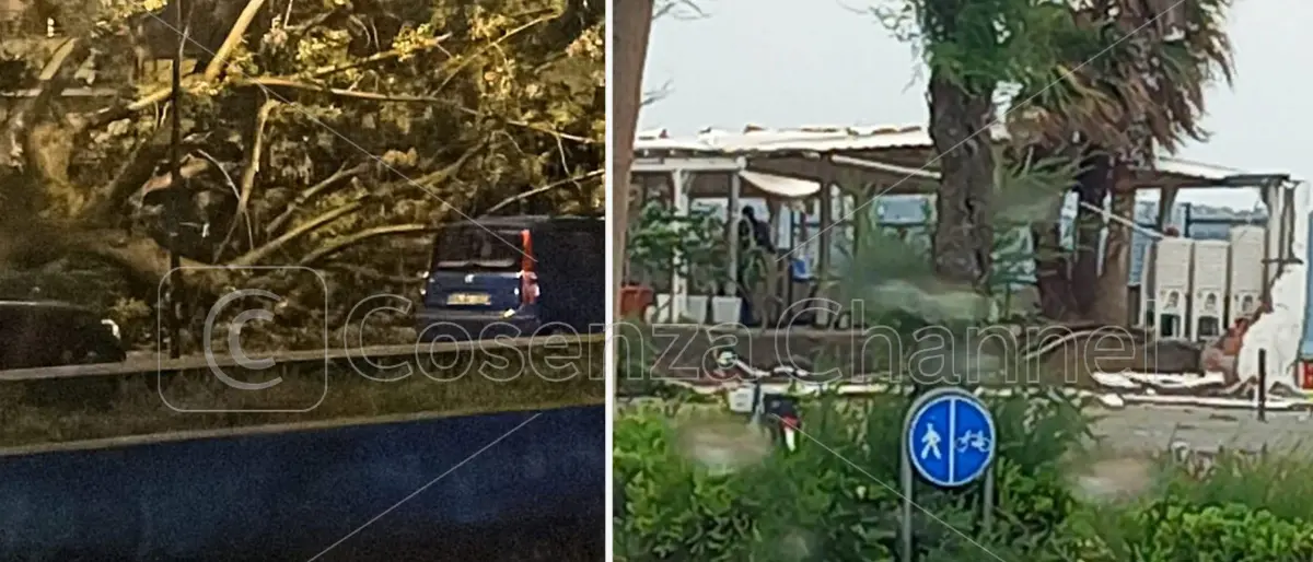 Praia, ancora disagi per il maltempo: crollano un altro albero e il muro di uno stabilimento balneare