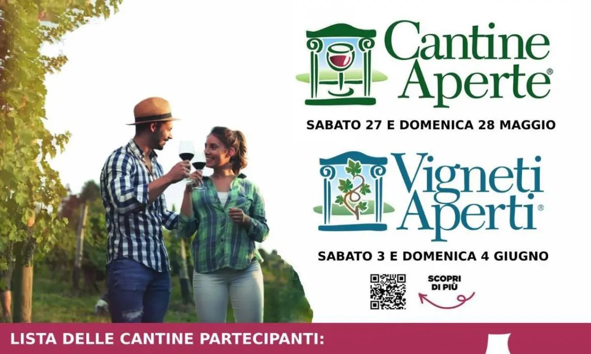 Mtv Calabria, ritorna \"Cantine aperte\" lo storico appuntamento per gli amanti del vino