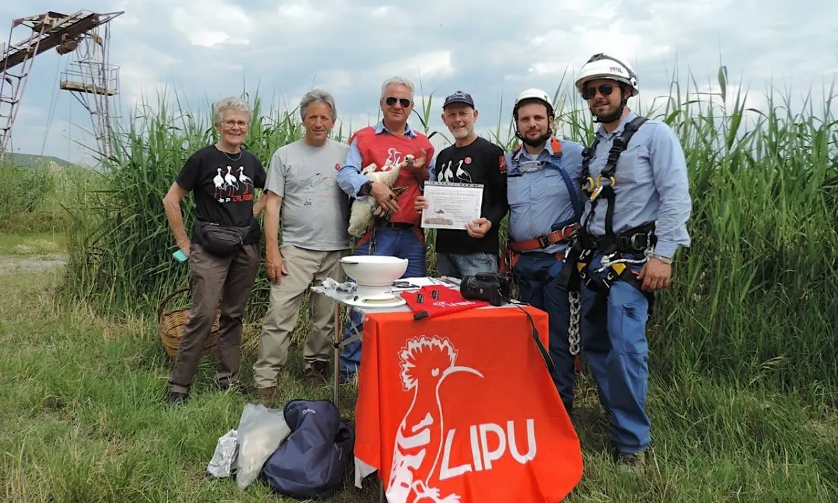 \"Un nome per la cicogna\", riparte la campagna della Lipu: le emozionanti immagini della prima giornata | FOTO