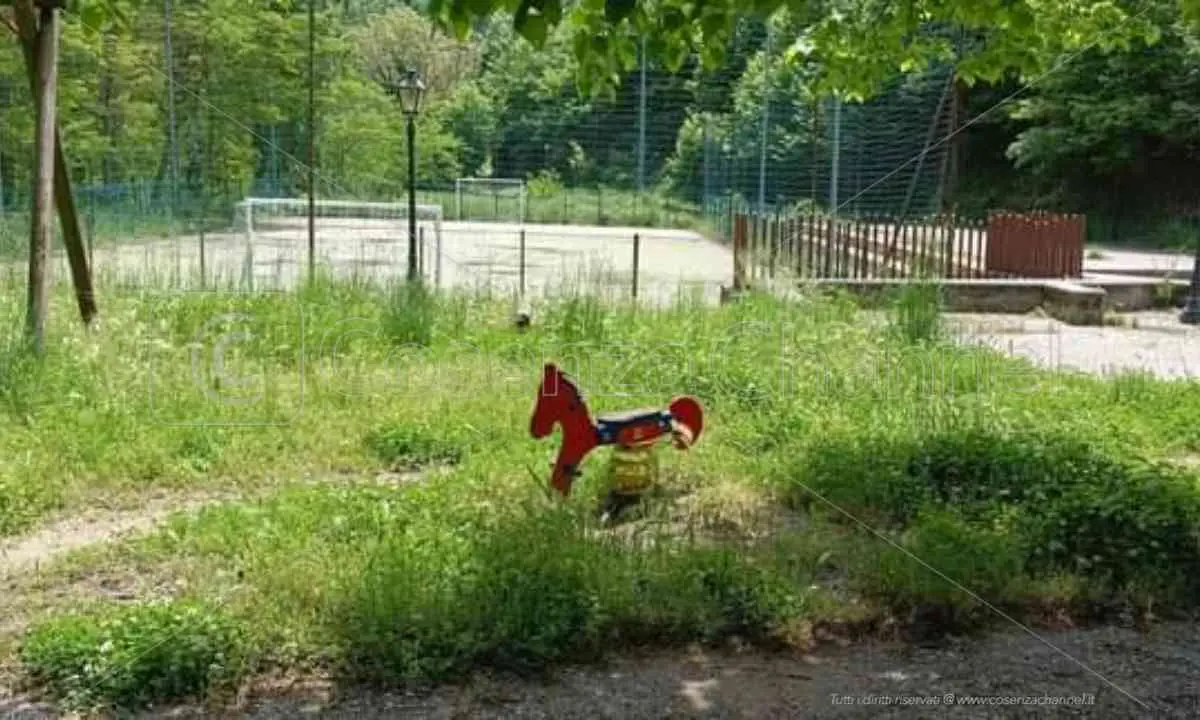 Acri sempre più simile a una giungla: marciapiedi, ville comunali e il cimitero invasi dall'erba alta | FOTO