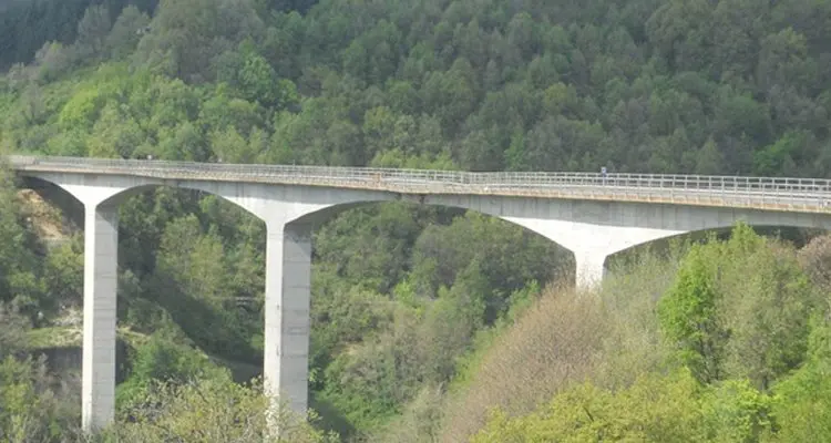 Il sindaco di Crotone scrive all'Anas: «Riferisca sul ponte di Celico»
