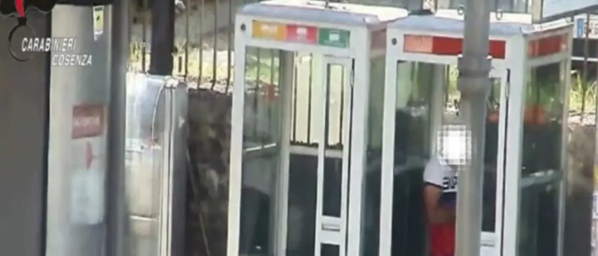 \"Gipsy Village\", l'indagine sui \"cavalli di ritorno\" a Cosenza: chi è a processo