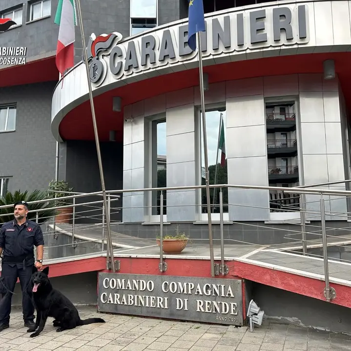 Droga a Rende, il tribunale di Cosenza convalida l'arresto di un 50enne