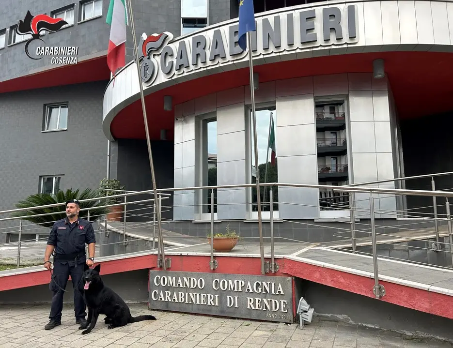 Droga a Rende, il tribunale di Cosenza convalida l'arresto di un 50enne