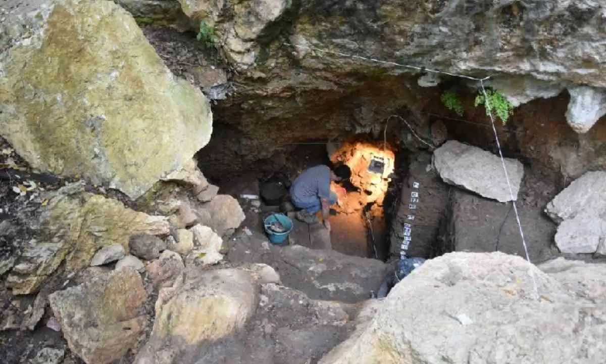 Papasidero, ritrovati nuovi resti umani alla Grotta del Romito