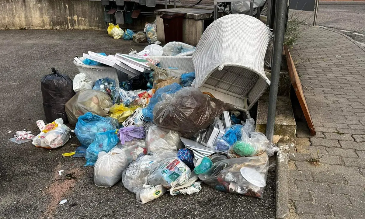 La segnalazione: «Spazzatura e inciviltà dei residenti a Rende nei pressi delle scuole»