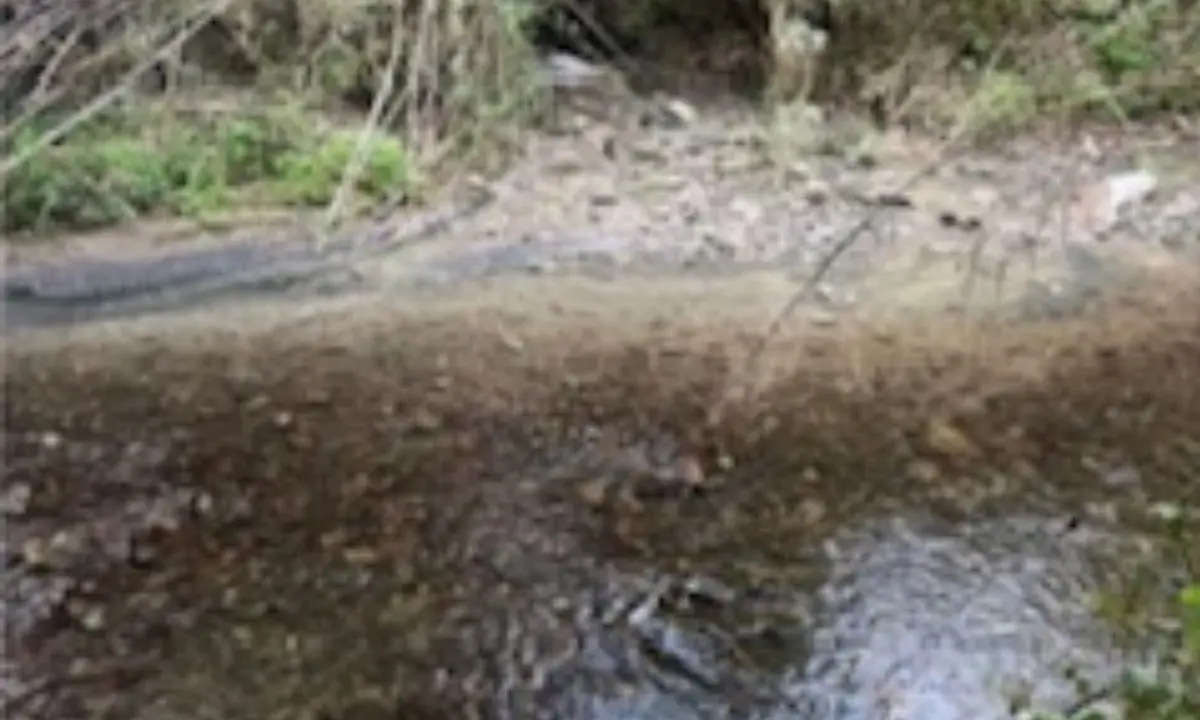 Cosenza, liquami fognari scaricati nel fiume nei pressi del \"San Vito\"