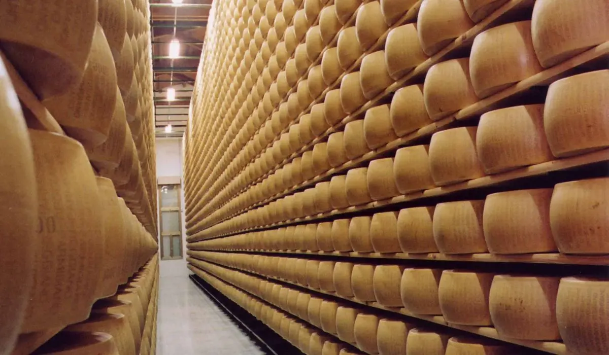 Travolto e schiacciato da 25mila forme di Grana Padano: morto imprenditore