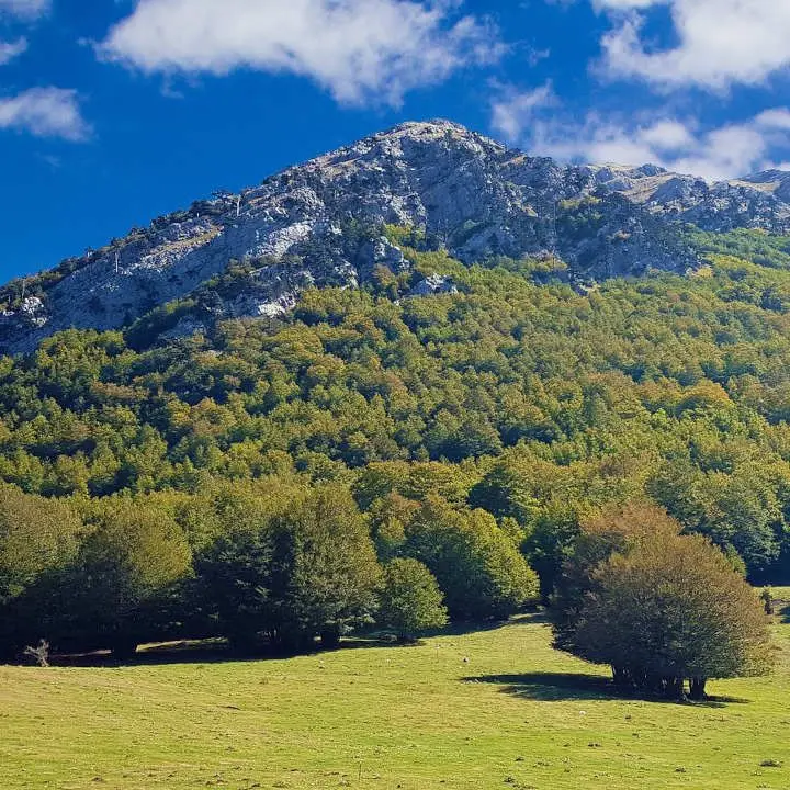 Musica e spettacoli dal Parco del Pollino al Museo Archeologico di Sibari